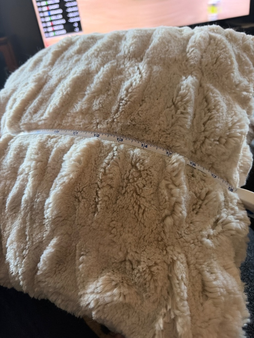 Pottery Barn Pillows - Picture 8 of 12